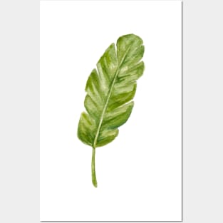 tropical leaf Posters and Art